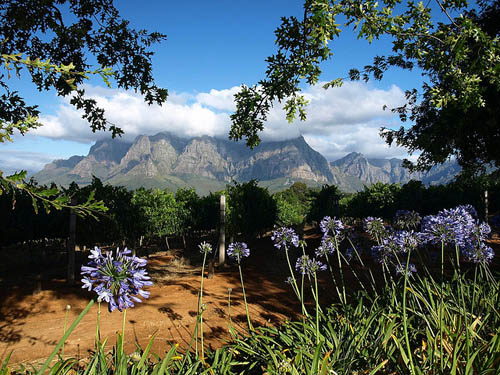 Africa Africa