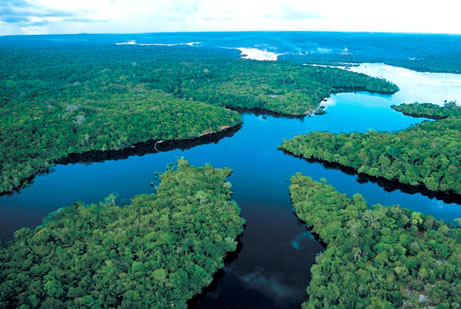 Устье Амазонки