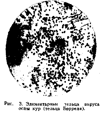 В тесном влажном