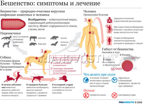 Перед смертью обычно