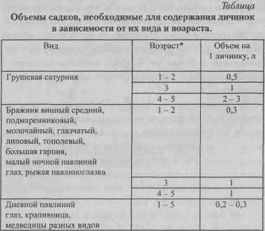 Детство бабочек