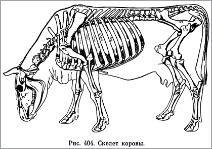 Однако, как ни силен