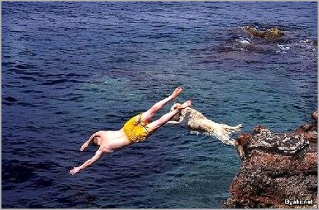 Вытянутое туловище, узкая голова Вытянутое туловище, узкая голова