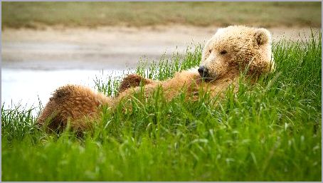 И значительно превышает